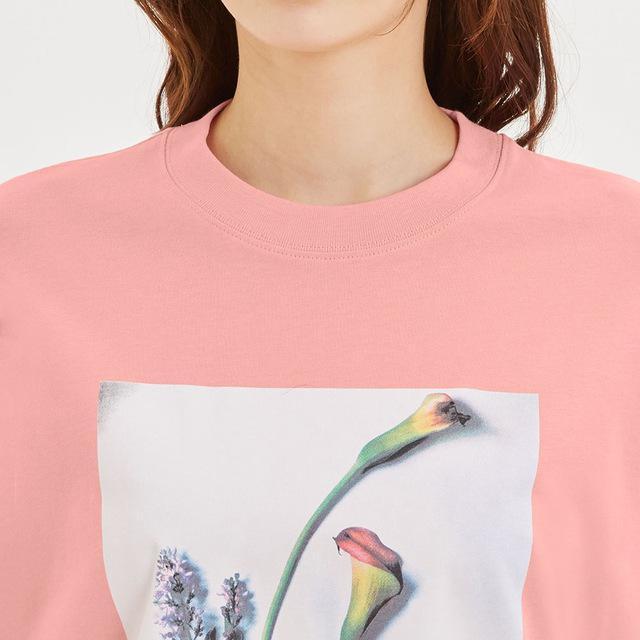 GUOtBbNOX[uT()B@STCY@sN ԁ@t[  uh 