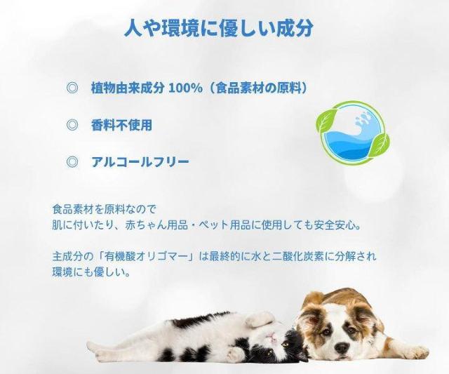 sNewtyFAB~XgzDAREԂ񁕃ybgpiS.L.hJr.Xv[<OtBJ>  CeA/Ct 