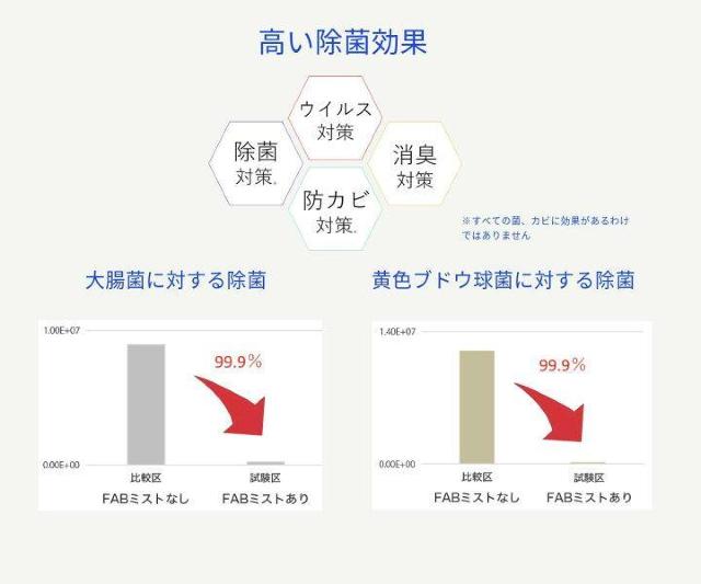 sNewtyFAB~XgzDAREԂ񁕃ybgpiS.L.hJr.Xv[<OtBJ>  CeA/Ct 