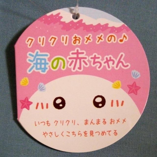 �N���N���������̊C�̐Ԃɂ�� �� ��������� 