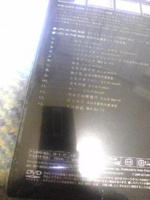 未開封DVD,バックホーン ライブインザサン < タレントグッズ  未開封DVD,バックホーン ライブインザサン < タレントグッズの