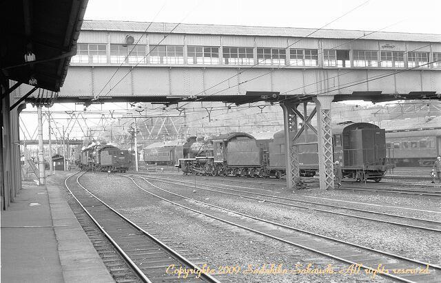 NHKDGiSwSf!wxS38NAꌧ ČwœlX  CD/DVD/rfI 