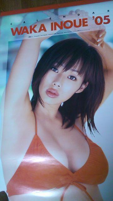 井上和香・2005年度カレンダー〜未使用・送料込み < タレントグッズ  井上和香・2005年度カレンダー〜未使用・送料込み  < タレントグッズの