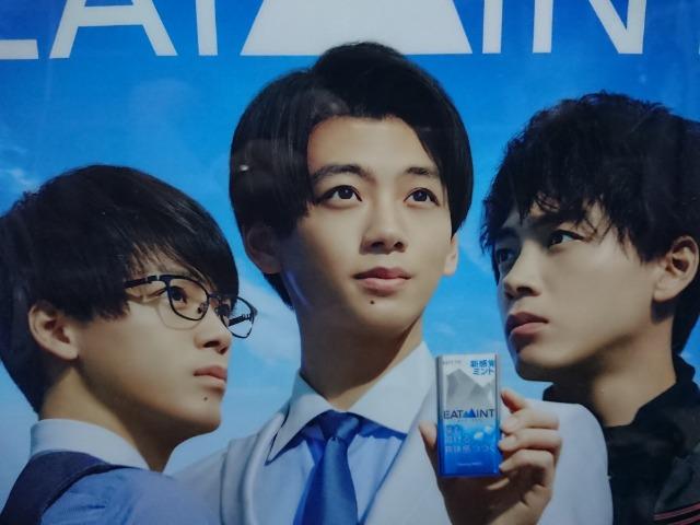 竹内涼真 ロッテ イートミント 非売品 A4ファイル ジャンク < ホビー  竹内涼真 ロッテ イートミント 非売品 A4ファイル ジャンク  < ホビーの