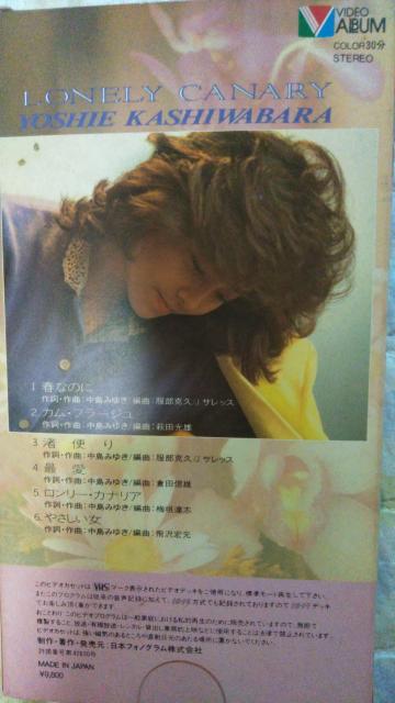 ky ☆ロンリー・カナリア☆柏原芳恵 < タレントグッズ ky ☆ロンリー・カナリア☆柏原芳恵 < タレントグッズの