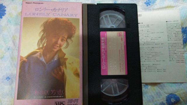 ky ☆ロンリー・カナリア☆柏原芳恵 < タレントグッズ ky ☆ロンリー・カナリア☆柏原芳恵 < タレントグッズの