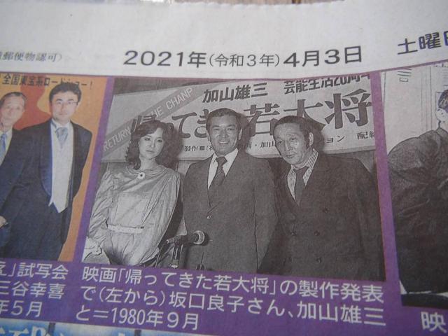 2021NSRcMq̐VLIB  {/G 