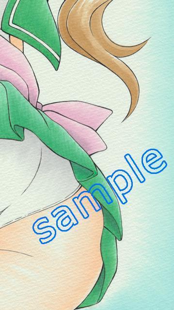 CXg@Z[[Ws^[@(Z[[[)@ؖ܂