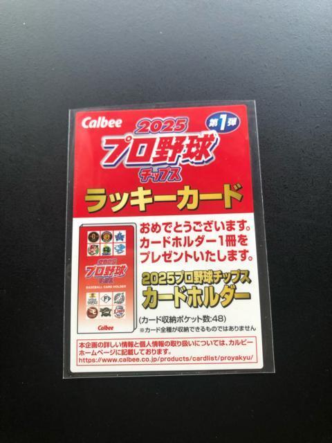 QOQTJr[싅Pe/bL[J|hmJ|hz_[J|hn  g[fBOJ[h 