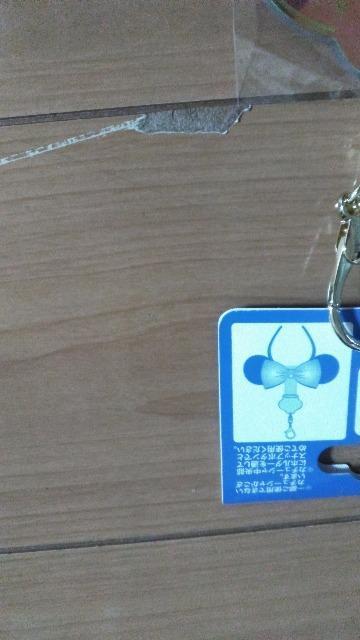 ���]�[�g�p�[�N���S�J�`���[�V���z���_�[ �� �C���e���A/���C�t�� 