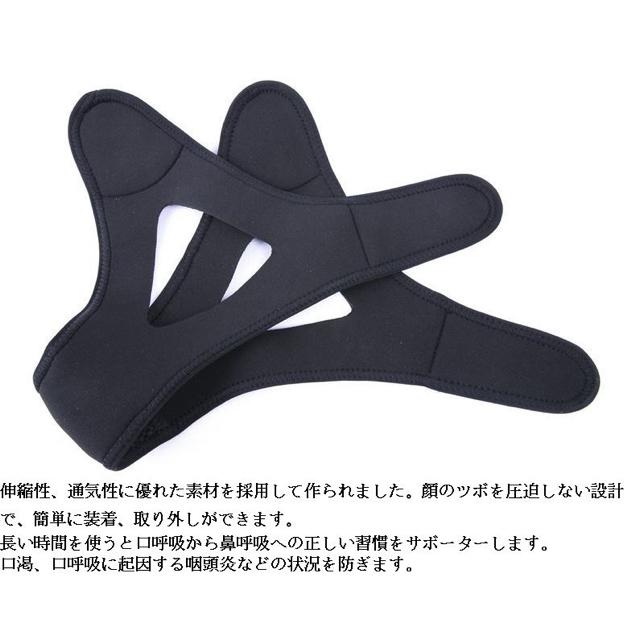 {pT|[^[@ тy т~ ꍖh~ {֐ߏ  wX/r[eB[ 