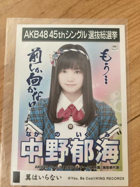 AKB48 中野郁海 翼はいらない 生写真 < タレントグッズ  AKB48 中野郁海 翼はいらない 生写真  < タレントグッズの
