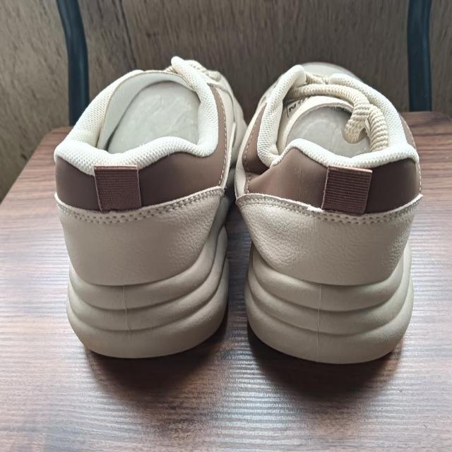 Vi 22.5cm fB[X Xj[J[ x[W V[Y C JWA  t@bV 