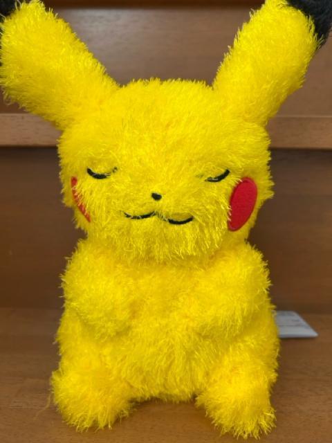 �s�J�`���E �ʂ������  �� ��������� 