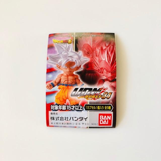 hS{[ UDM BURST34 TClSeNX  Aj/R~bN/LN^[ 