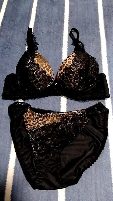 pbhqE[XuV[B70   t@bV 