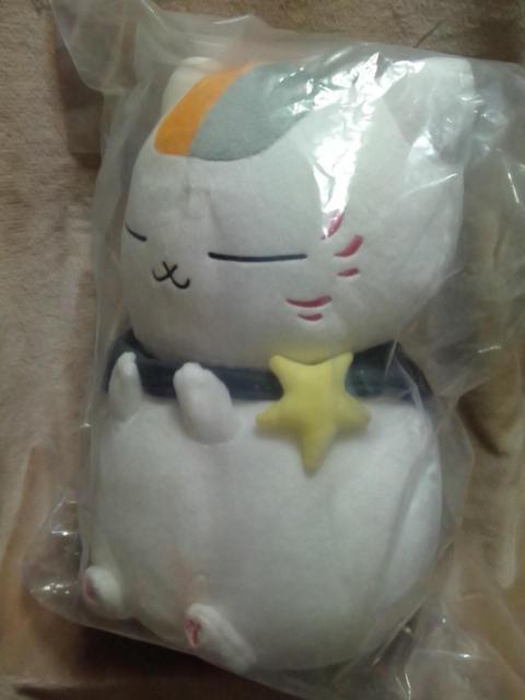 ĖڗFlԂ`jR搶ƐiF`A jR搶P[vʂ S1큡  Aj/R~bN/LN^[ 