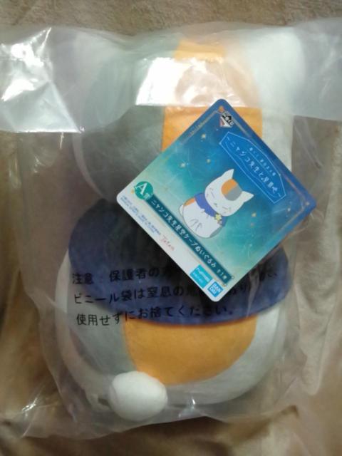 ĖڗFlԂ`jR搶ƐiF`A jR搶P[vʂ S1큡  Aj/R~bN/LN^[ 