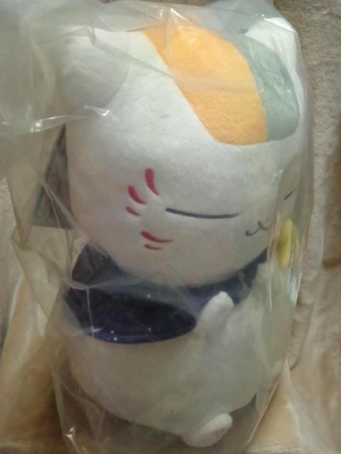 ĖڗFlԂ`jR搶ƐiF`A jR搶P[vʂ S1큡  Aj/R~bN/LN^[ 