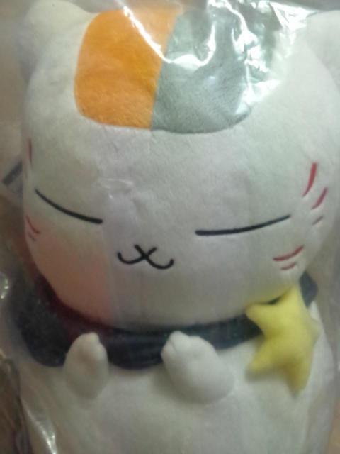 ĖڗFlԂ`jR搶ƐiF`A jR搶P[vʂ S1큡  Aj/R~bN/LN^[ 