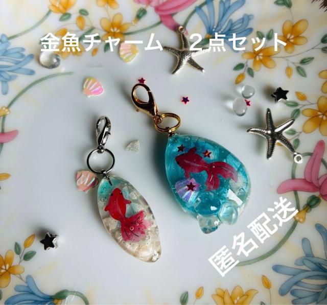 �����`���[���@�Q�_�Z�b�g�@��������  �� �y�b�g/��|/���|�� 