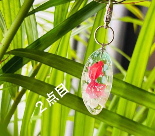 �����`���[���@�Q�_�Z�b�g�@�������� �� �y�b�g/��|/���|�� 