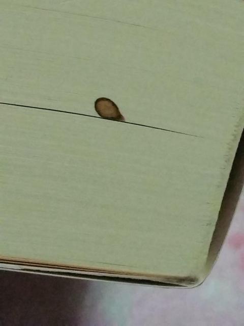 ������ �� ����Ȗڕ� �d�󏈗��n���h�u�b�N �� �{/�G���� 