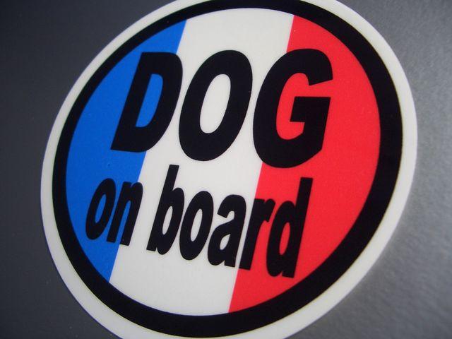 DOG on boardtXXebJ[Ă܂V[  /oCN