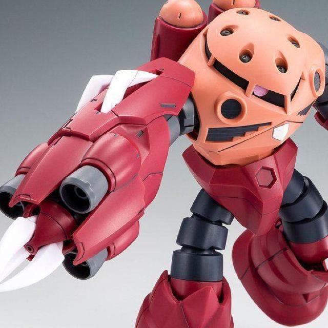 限定 HGBF 1/144 アメイジングズゴック < ホビー  限定 HGBF 1/144 アメイジングズゴック  < ホビーの