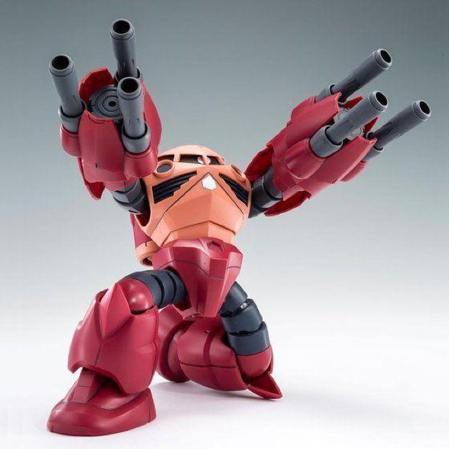限定 HGBF 1/144 アメイジングズゴック < ホビー  限定 HGBF 1/144 アメイジングズゴック < ホビーの