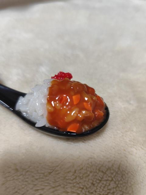 リアルキッチンシリーズひとくちれんげご飯BCvol.7 カレー三昧ノーマルカレー < ホビー  リアルキッチンシリーズひとくちれんげご飯BCvol.7 カレー三昧ノーマルカレー < ホビーの