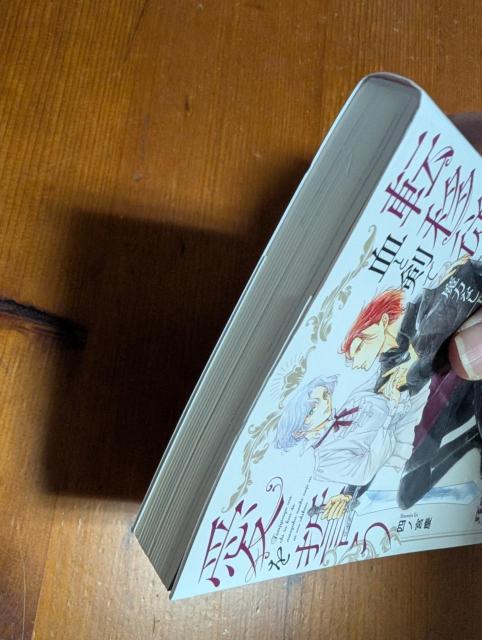 小説 BL 転移従者は血と剣で魔力なし王子に愛を誓う 四ノ宮慶 文庫 < 本/雑誌 小説 BL 転移従者は血と剣で魔力なし王子に愛を誓う 四ノ宮慶 文庫 < 本/雑誌の