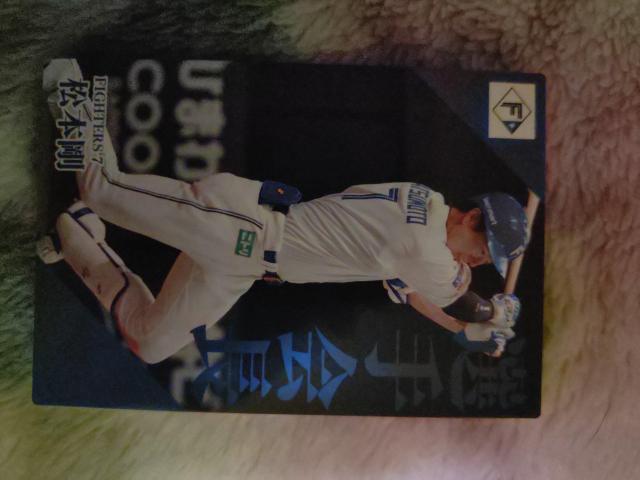 プロ野球チップスカード < トレーディングカード プロ野球チップスカード < トレーディングカードの