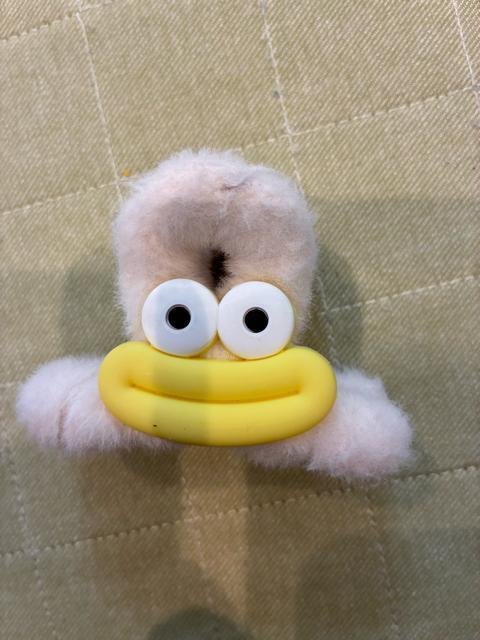 ヘアクリップ < 女性ファッション ヘアクリップ < 女性ファッションの