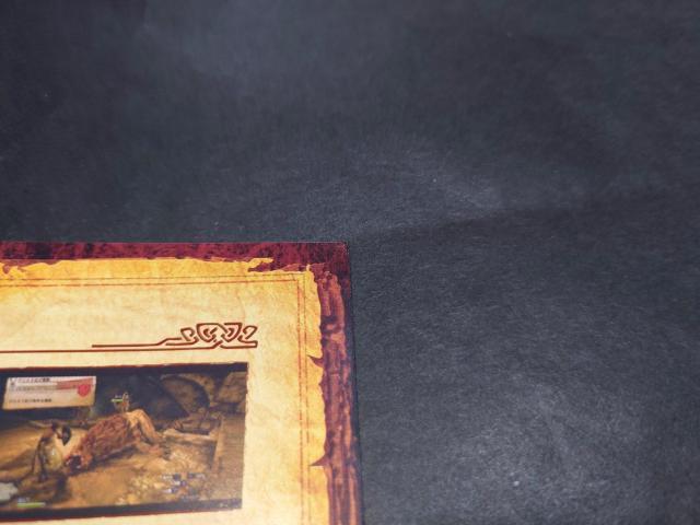 PS3 ドラゴンズドグマ / チラシ付き < ゲーム本体/ソフト  PS3 ドラゴンズドグマ / チラシ付き < ゲーム本体/ソフトの