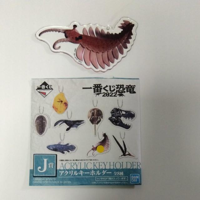 一番くじ 恐竜 2022 J賞 アクリルキーホルダー E < アニメ/コミック/キャラクター  一番くじ 恐竜 2022 J賞 アクリルキーホルダー E  < アニメ/コミック/キャラクターの