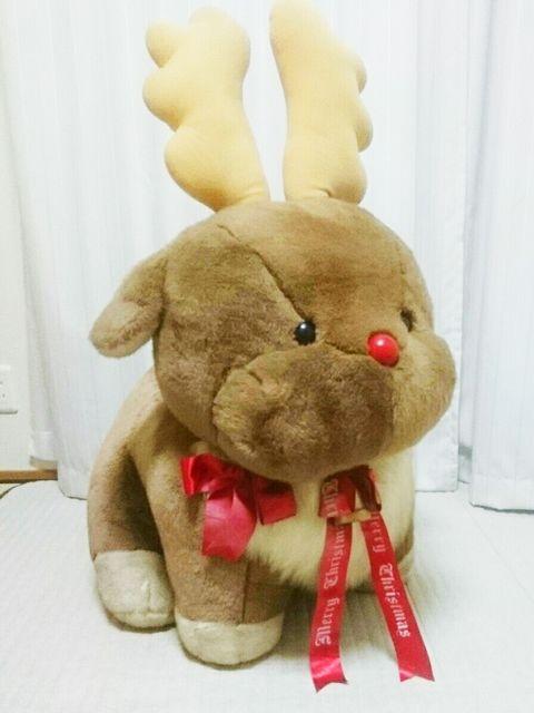 100cm  BIG G~I `j[[h giJC ʂ   