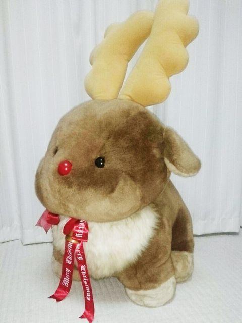 100cm  BIG G~I `j[[h giJC ʂ   