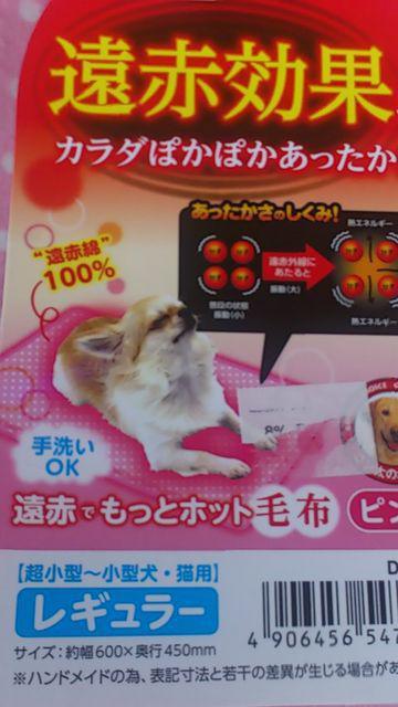 遠赤効果!レギュラーサイズ!新品!あったかい毛布!ピンク色! < ペット/手芸/園芸  遠赤効果!レギュラーサイズ!新品!あったかい毛布!ピンク色! < ペット/手芸/園芸の