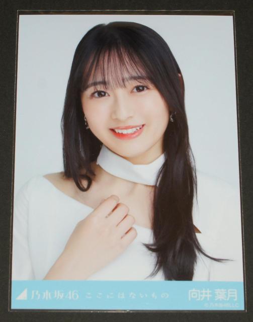 T؍46@t@ʐ^P@ɂ͂Ȃ   ^gObY 