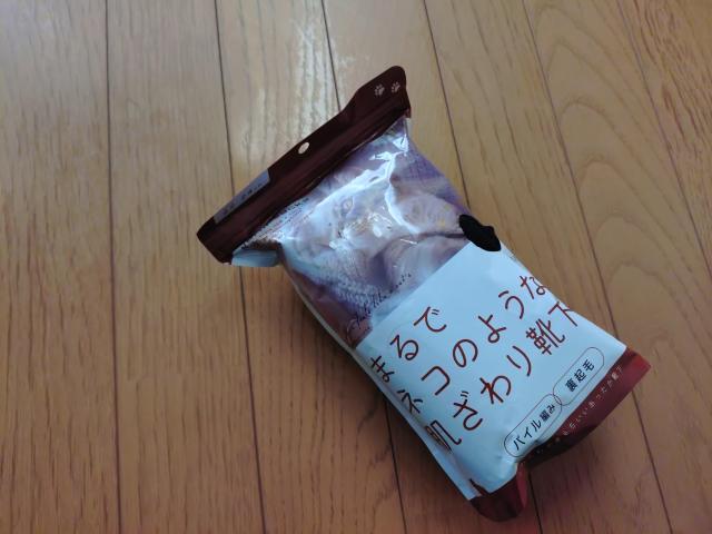 �܂�Ńl�R�̂悤�Ȕ������C��  �� �����t�@�b�V������ 