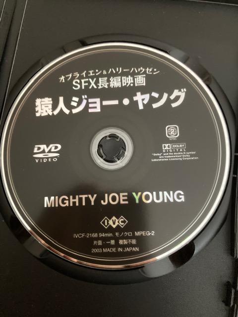 セル版DVD 猿人ジョー・ヤング < CD/DVD/ビデオ  セル版DVD 猿人ジョー・ヤング < CD/DVD/ビデオの