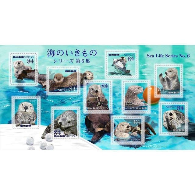 Ĉ̃V[Y 6W bR 84~؎   zr[ 