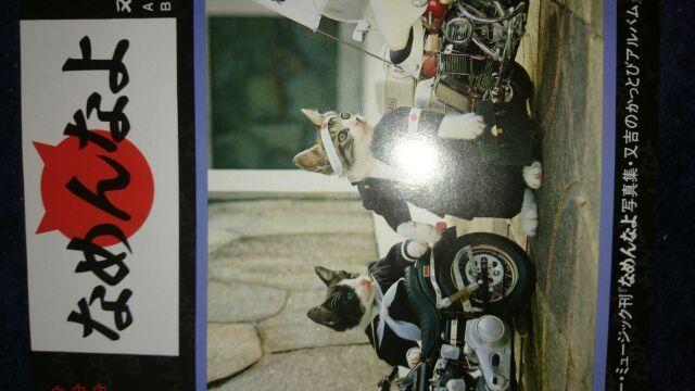 なめんなよEPレコード < CD/DVD/ビデオ  なめんなよEPレコード  < CD/DVD/ビデオの