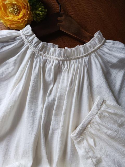 LEPSIM/�u���E�X�������Ղ�M���U�[�̃A�C�{���[�u���E�X