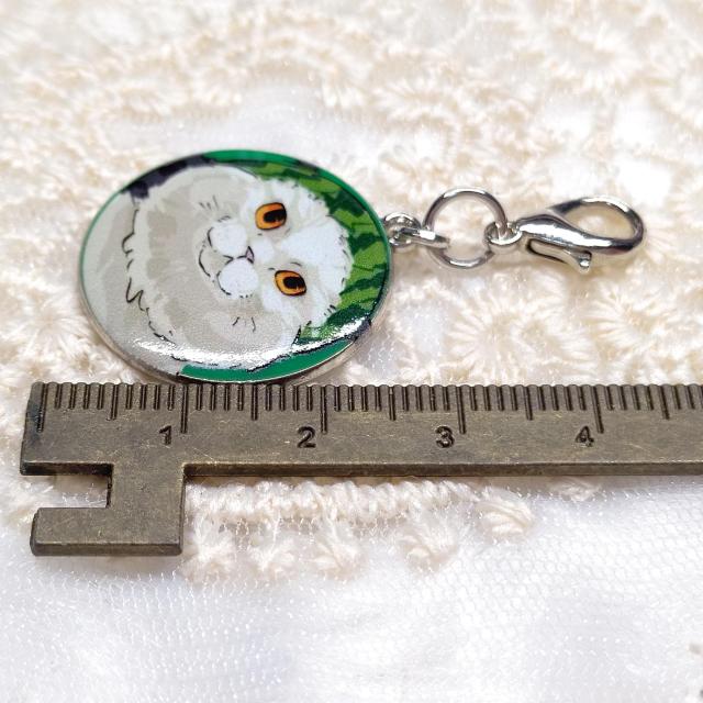 ハンドメイド☆ファスナーチャーム☆スイカねこちゃん < 女性ファッション ハンドメイド☆ファスナーチャーム☆スイカねこちゃん < 女性ファッションの