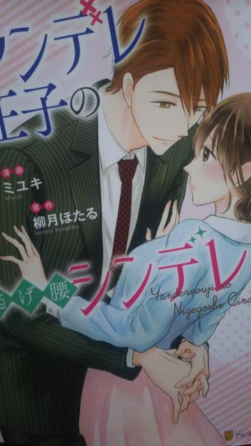 fq̓Vf~L   Aj/R~bN/LN^[ 