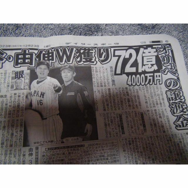 R{RLhW[X2023N1223̃fB[X|[cVIB  zr[ 