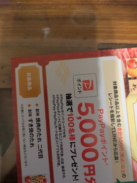 PayPayポイント5000円当たるレシート1口分 < チケット/金券 PayPayポイント5000円当たるレシート1口分 < チケット/金券の