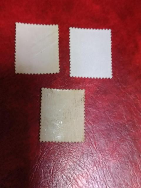 �������������A������؎聖���g�p�i �� �z�r�[�� 